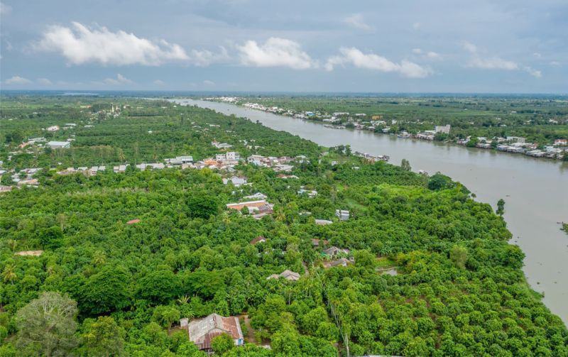 Cù lao Giêng giữa sông Tiền, huyện Chợ Mới, tỉnh An Giang