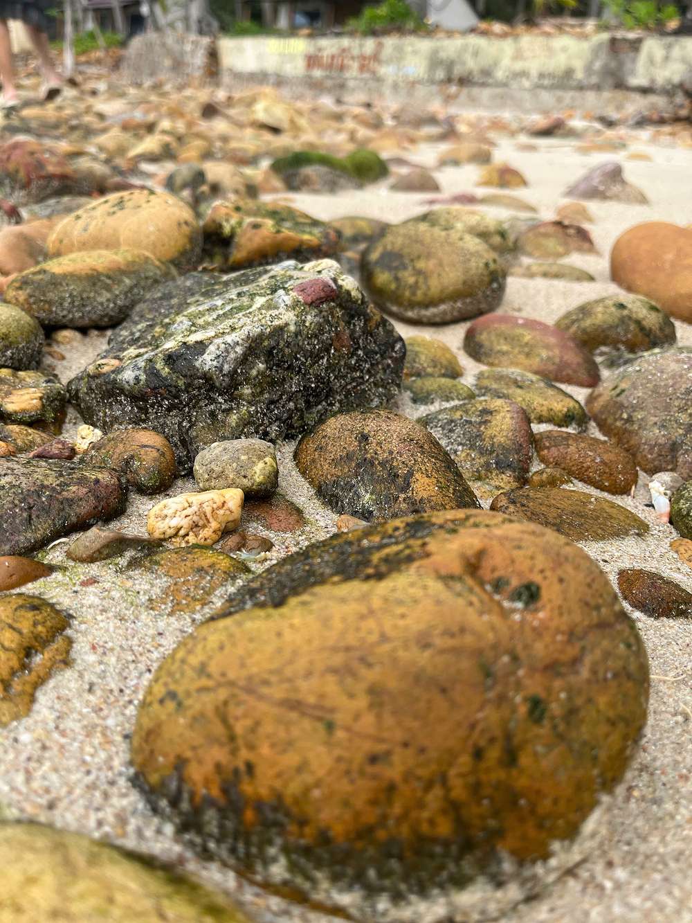 Mãn nhãn với vẻ đẹp thiên nhiên tại đảo