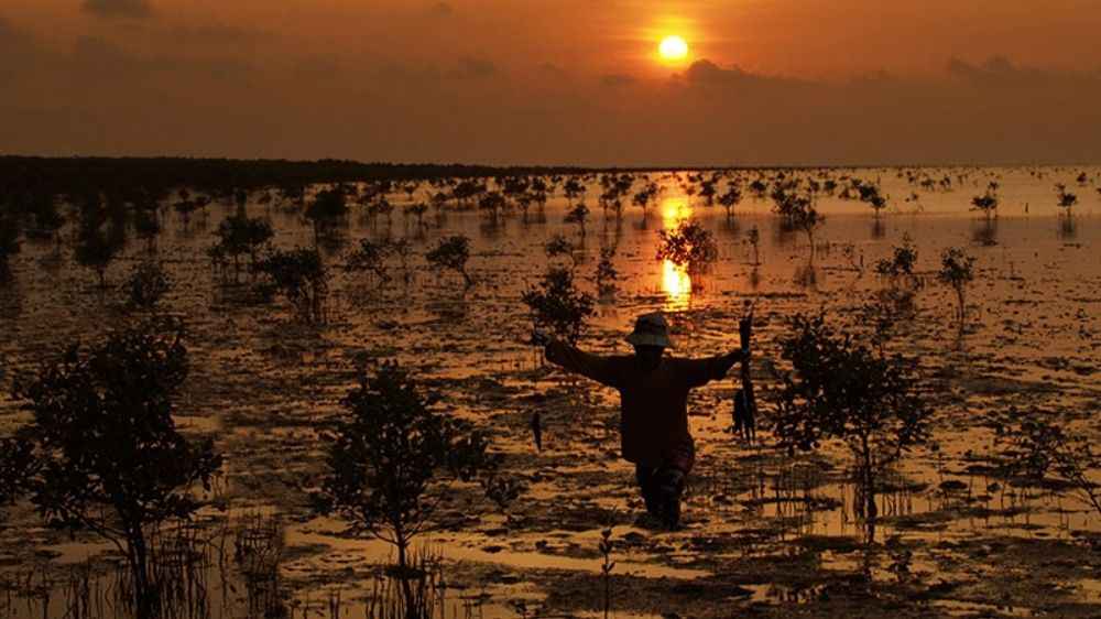 Đời sống ngư dân miền Tây tại Đầm Thị Tường