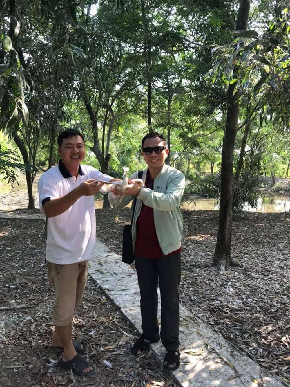 Du khách được trực tiếp tương tác với các chú cò