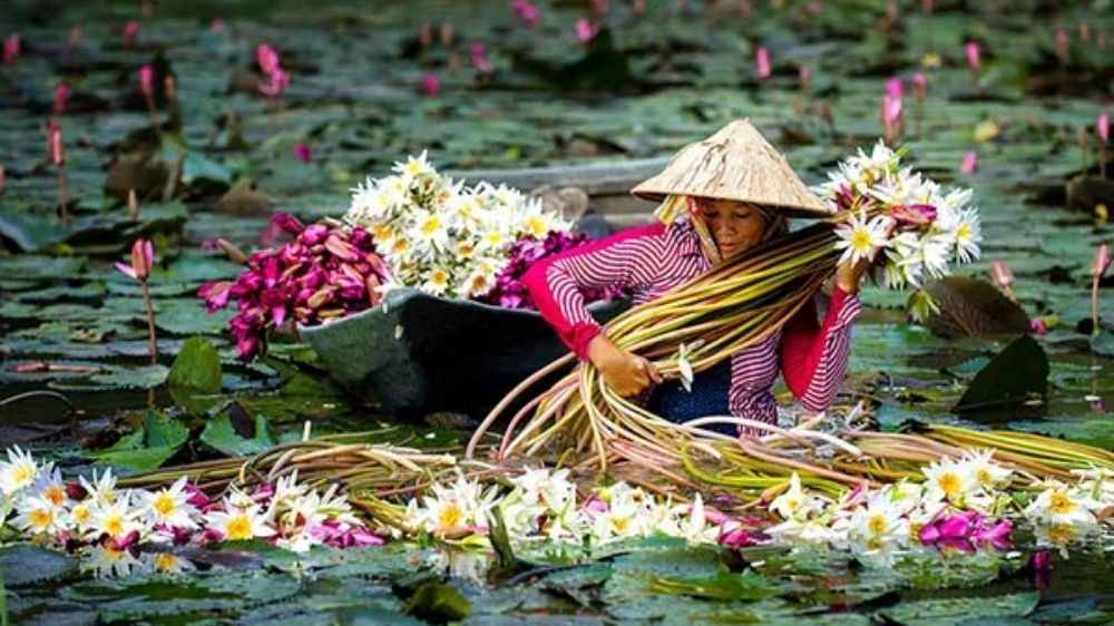  Du lịch miền Tây mùa nước nổi