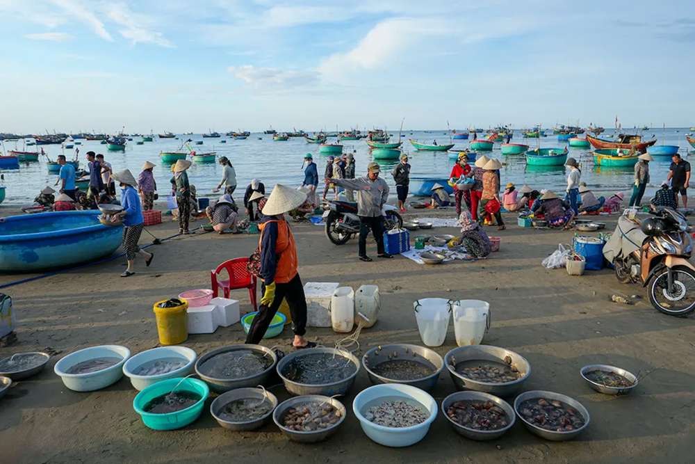 Các gian hàng buôn bán hải sản của người dân địa phương