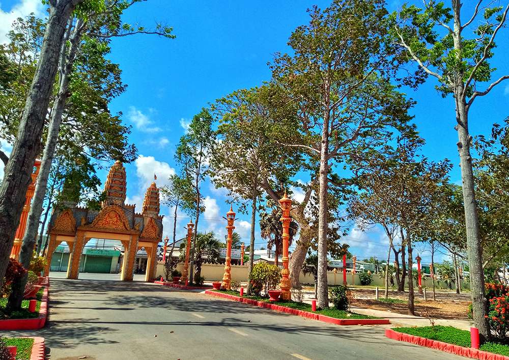 Hàng cây sao cổ đại của chùa