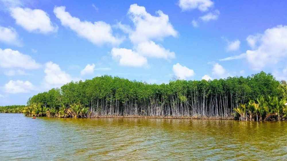 Hệ sinh thái nước ngọt nước lợ Đầm Thị Tường