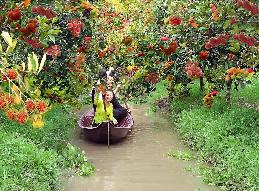 Không gian đậm chất miền Tây tại vườn trái cây Mỹ Khánh