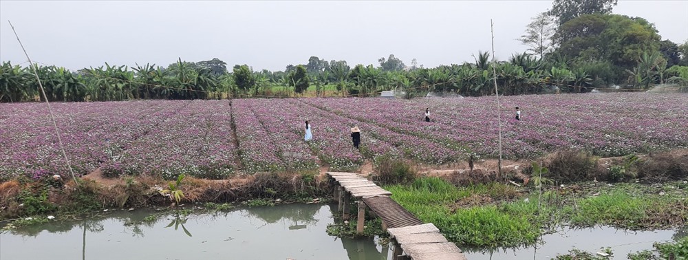 Kinh Nghiệm Chụp Ảnh
