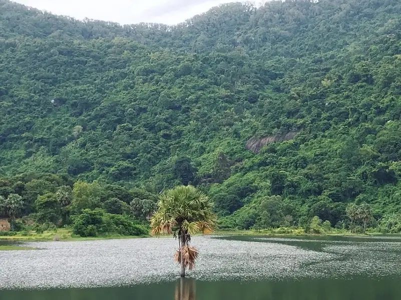 Hoạt Động Tại Hồ Ô Thum