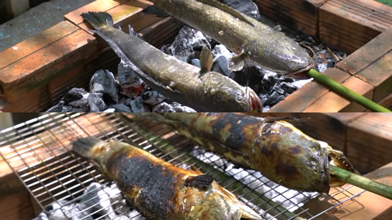 Cách chế biến cá lóc nướng trui chuẩn vị