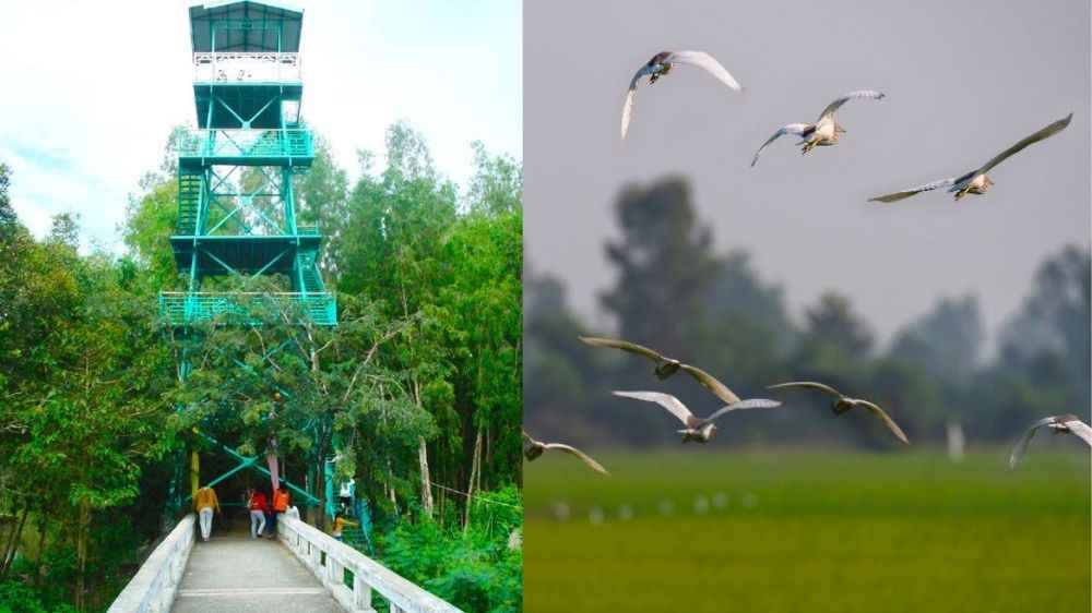 Leo tháp quan sát và ngắm toàn cảnh khu sinh thái Gáo Giồng