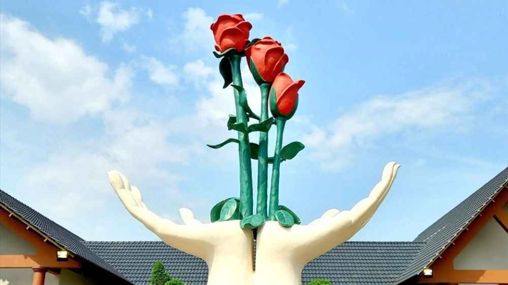 Lưu ý khi đi cùng trẻ em và người lớn tuổi