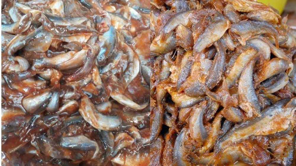 Mắm cá linh Đồng Tháp