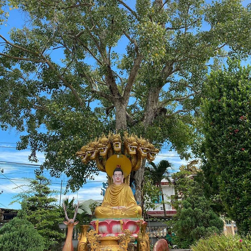 Một góc chùa Tiên Châu