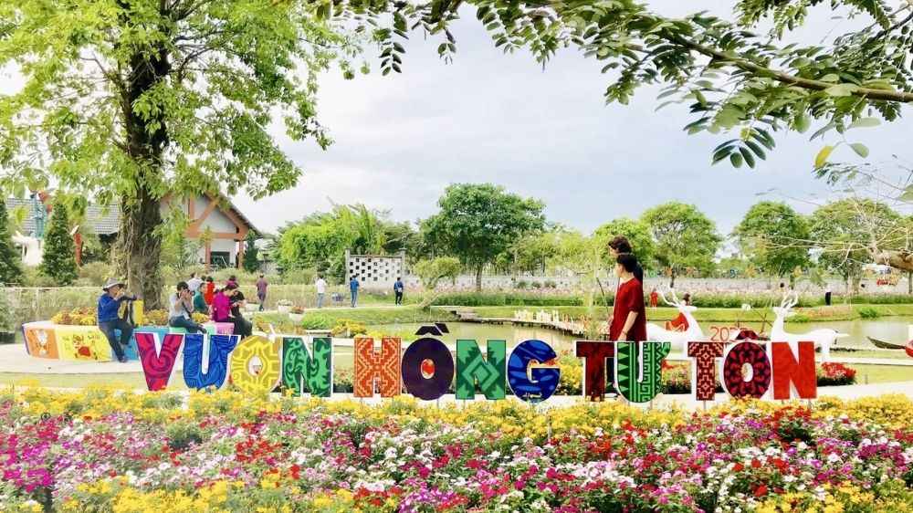 Mùa hồng chín đẹp nhất trong năm tại Vườn hồng Tư Tôn