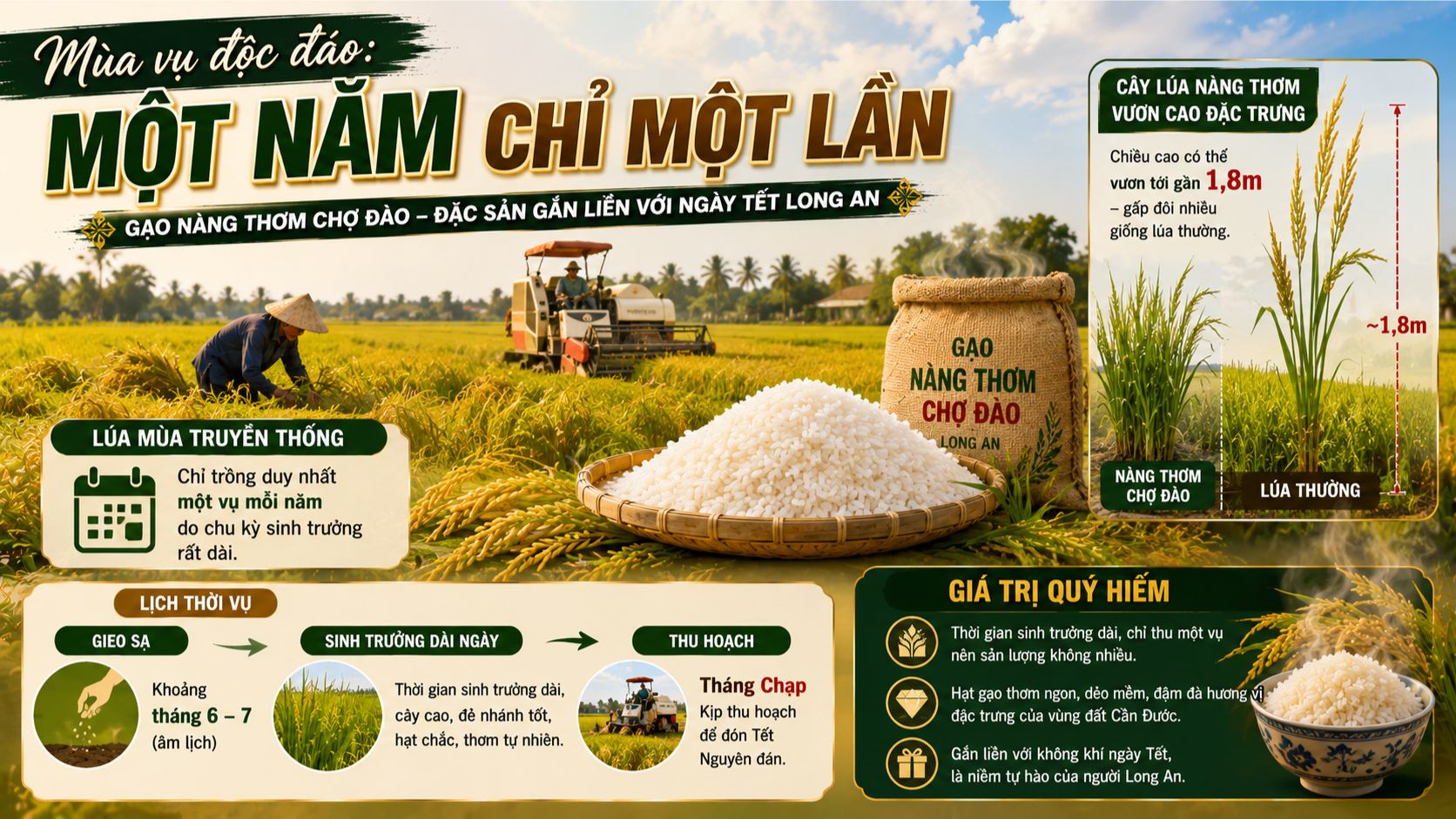 Mùa vụ độc đáo: một năm chỉ một lần