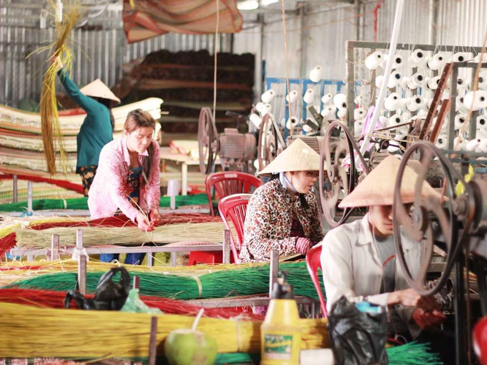 Tham quan cơ sở người dân sản xuất chiếu