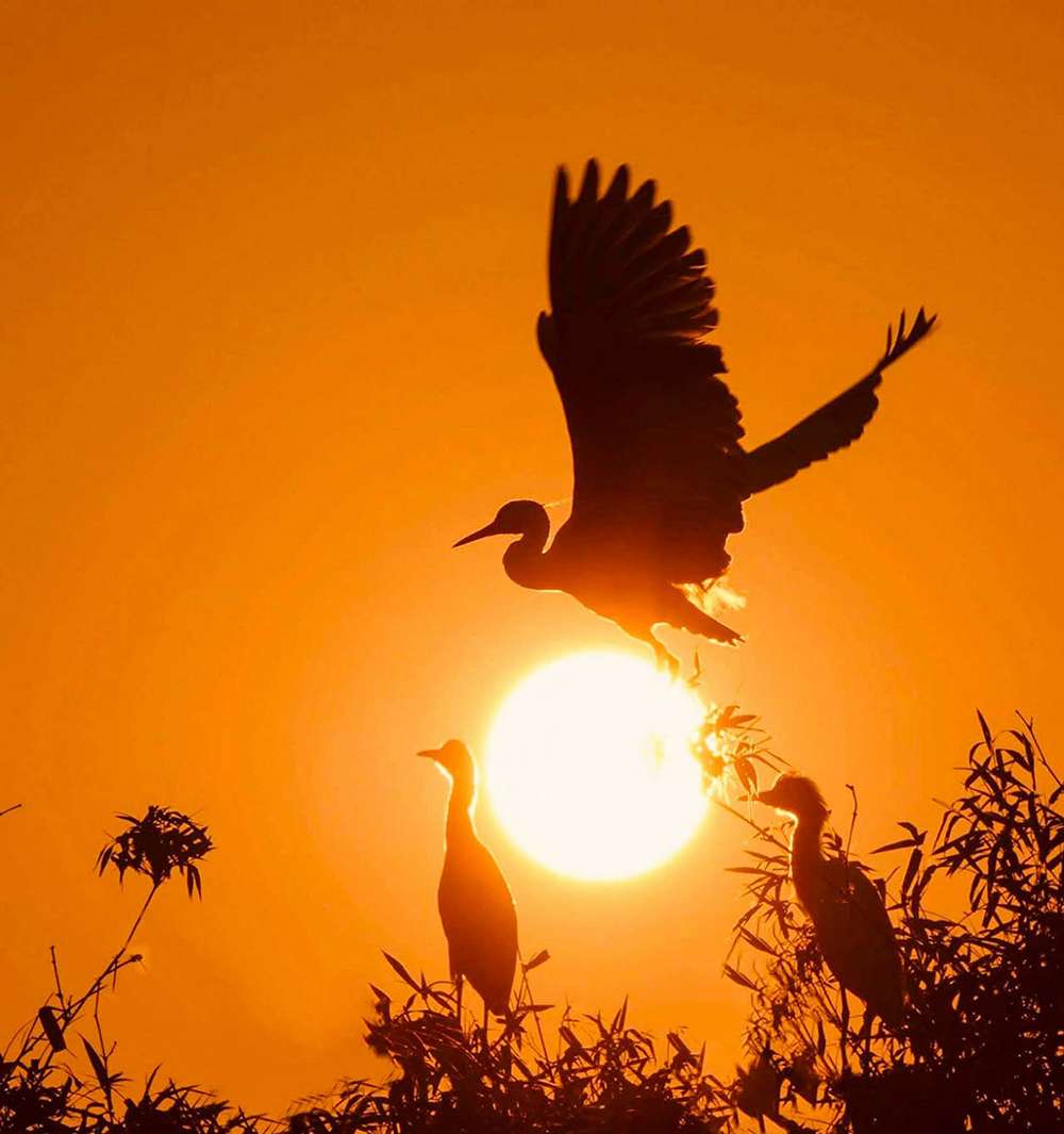 Nhớ kỹ những quy định trước khi tham quan vườn cò