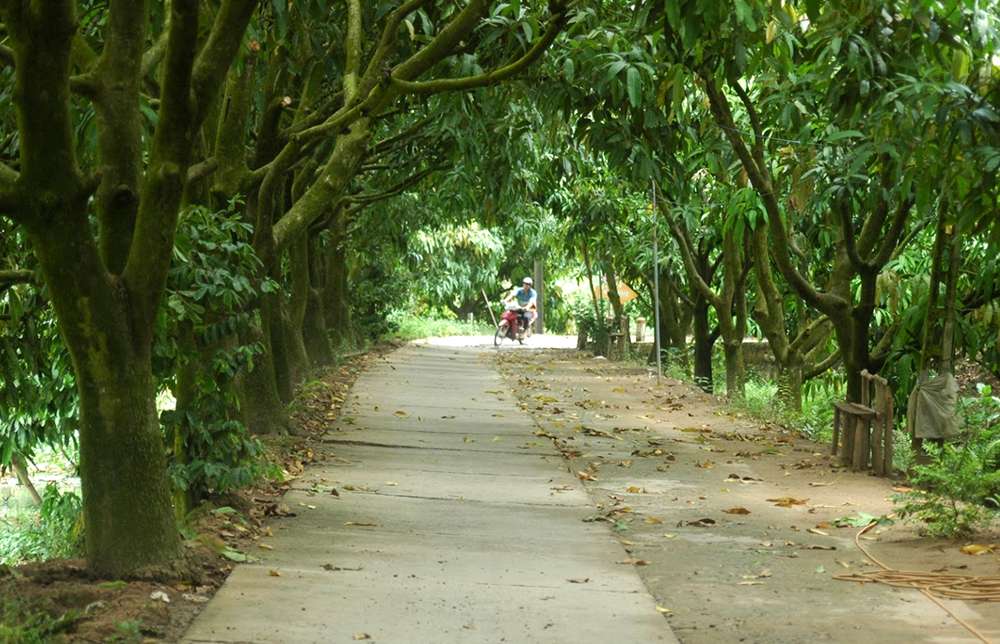 Khu du lịch sinh thái Tân Thuận Đông