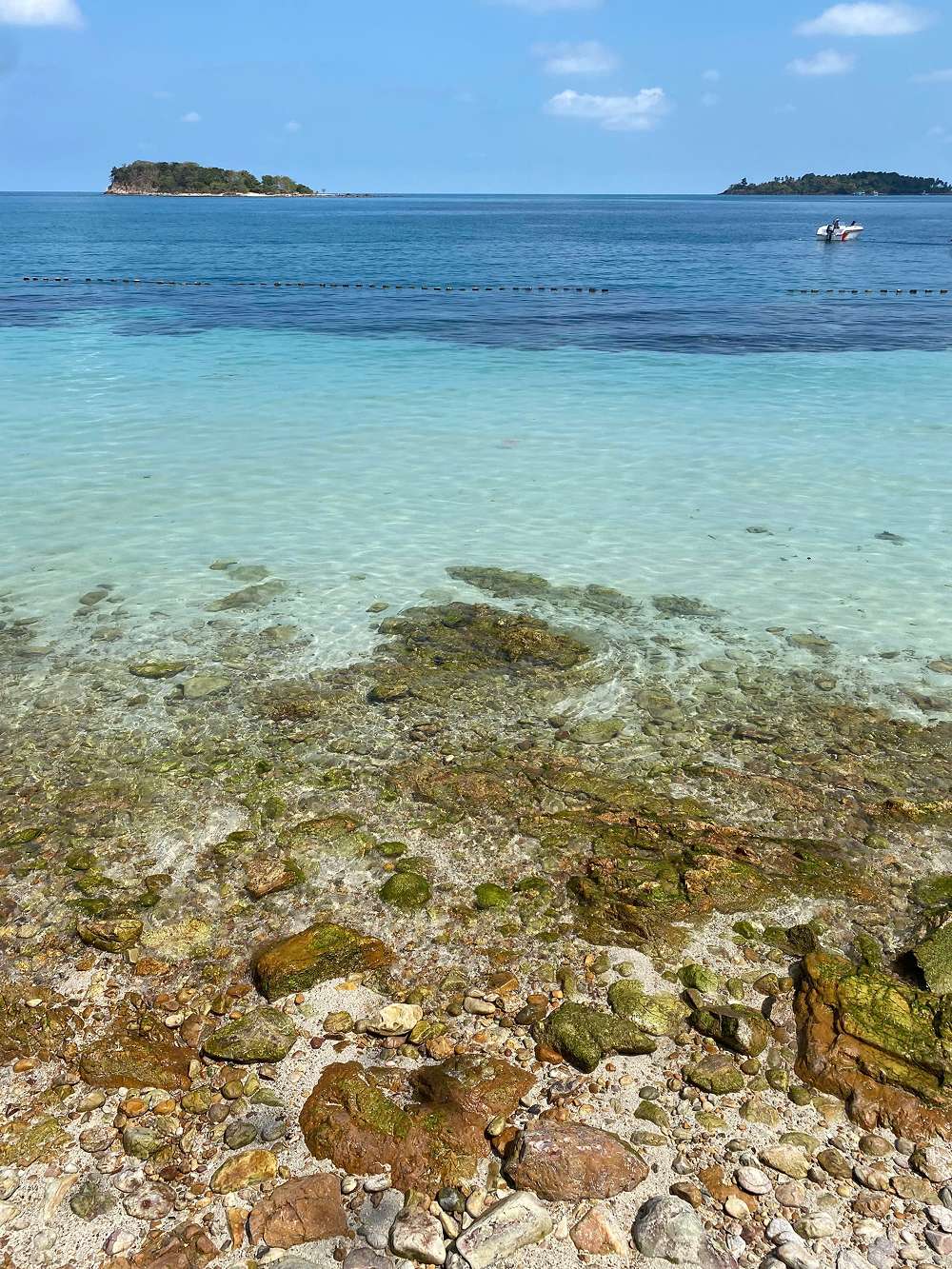 Thả mình vào dòng nước trong xanh