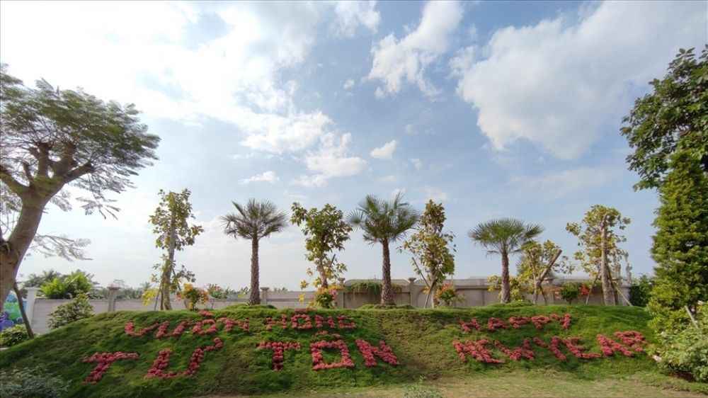 Tham quan và chụp ảnh giữa vườn hồng Tư Tôn