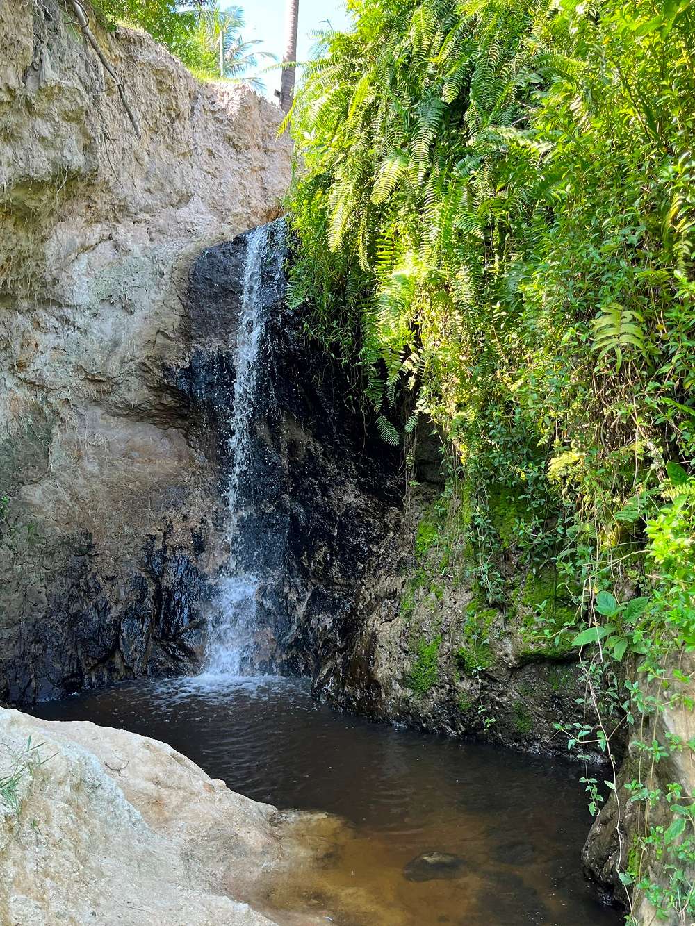 Tham quan thác nước trong veo