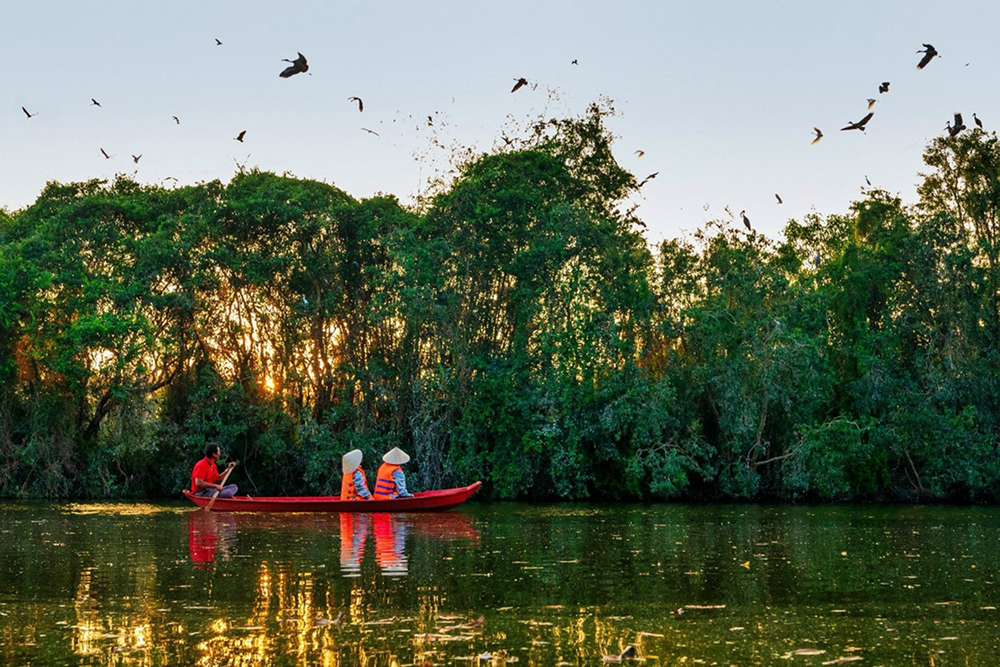 Thuê xuồng tham quan vườn cò Tân Long