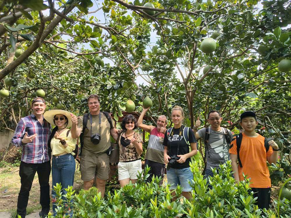 Hình ảnh du khách trải nghiệm vườn trái cây Mỹ Khánh