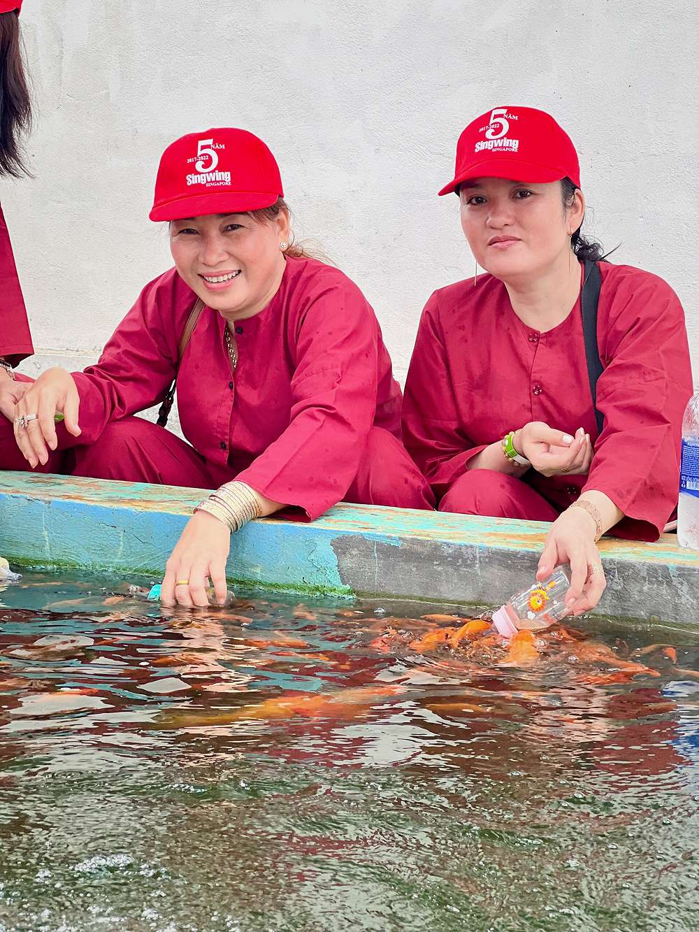 Trải nghiệm cho cá ăn bằng bình