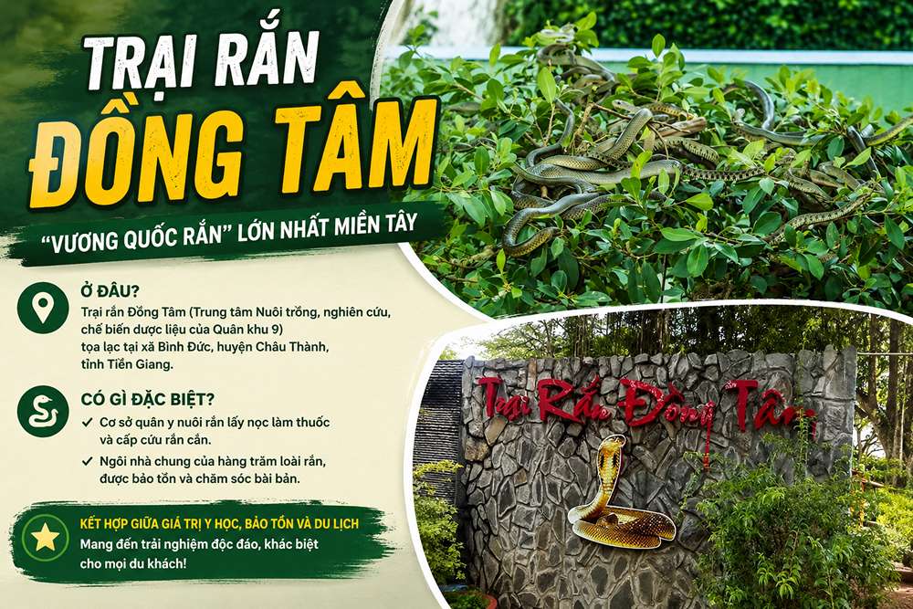 Trại rắn Đồng Tâm ở đâu, có gì đặc biệt?