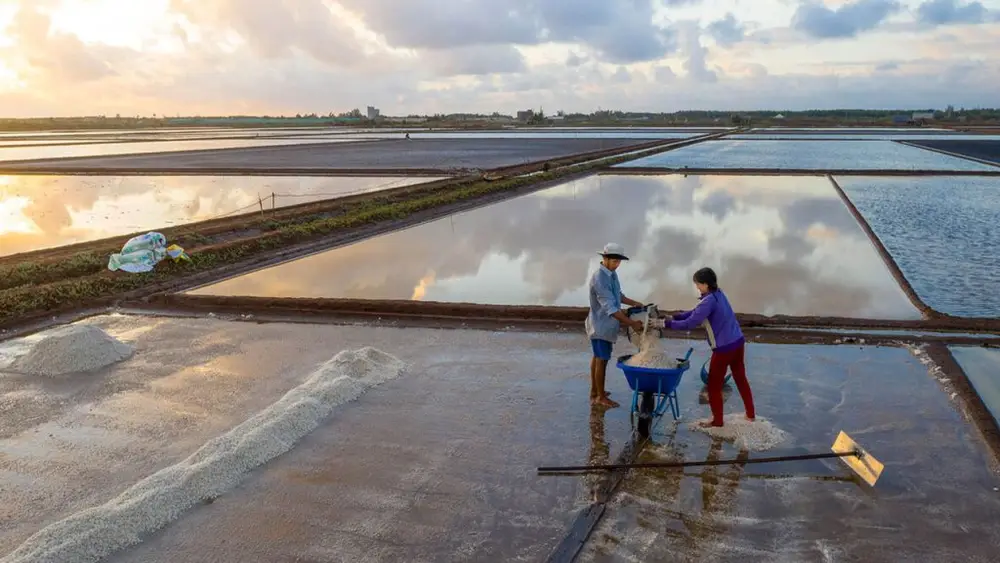 Vẻ Đẹp Cánh Đồng Muối