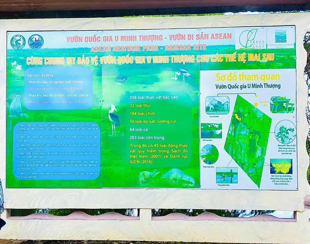 Vẻ đẹp rừng U Minh Thượng