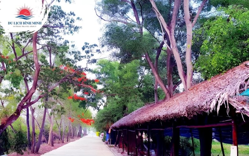 vườn chim bạc liêu 5