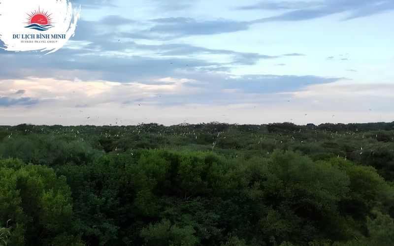 vườn chim bạc liêu 4