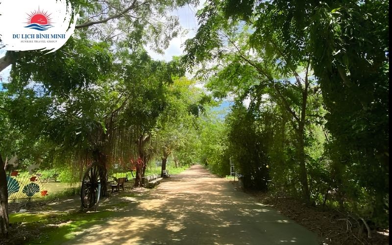 vườn chim bạc liêu 3