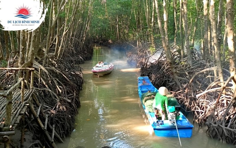 đi ca nô xuyên rừng tại đất mũi