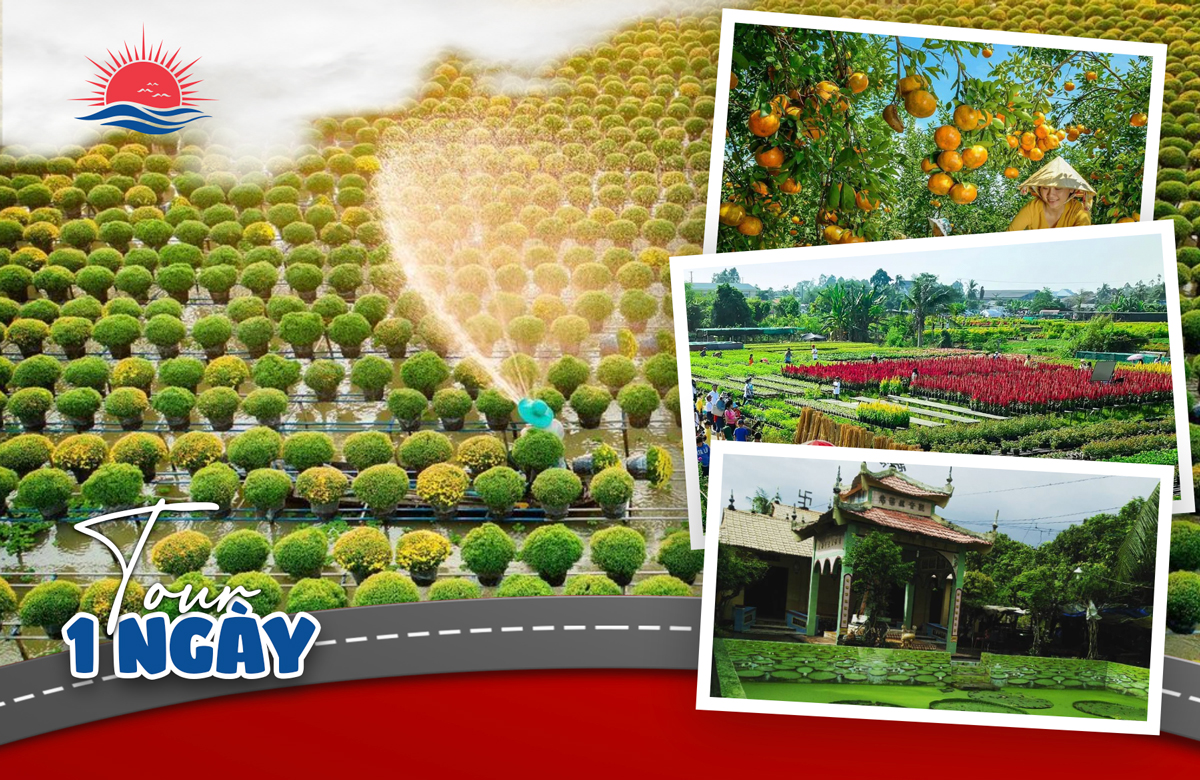 TOUR MIỀN TÂY ĐỒNG THÁP - LÀNG HOA SA ĐÉC- HAPPY LAND HÙNG THY - VƯỜN QUÝT HỒNG LAI VUNG - CHÙA LÁ SEN 1 NGÀY