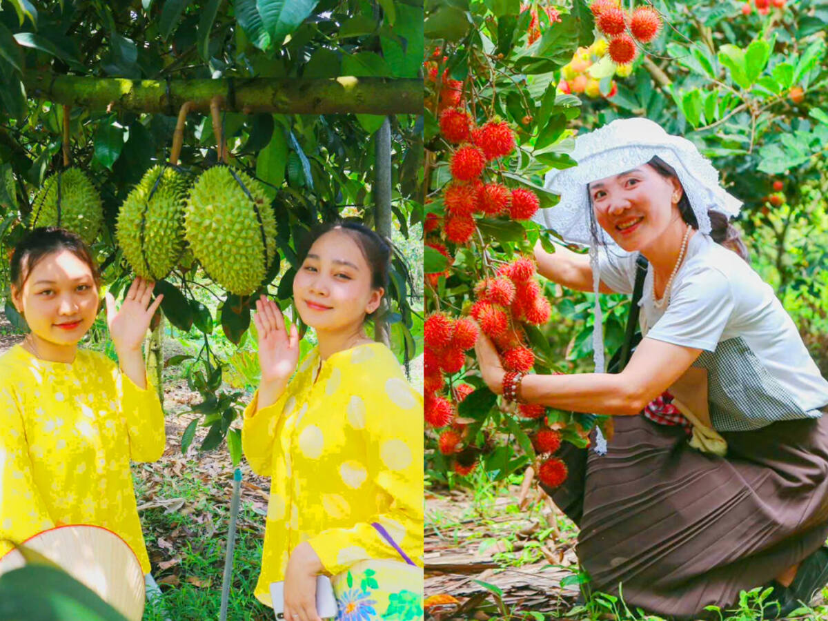 Trái cây miệt vườn Cần Thơ trong tour Sài Gòn - Cần Thơ 1 ngày