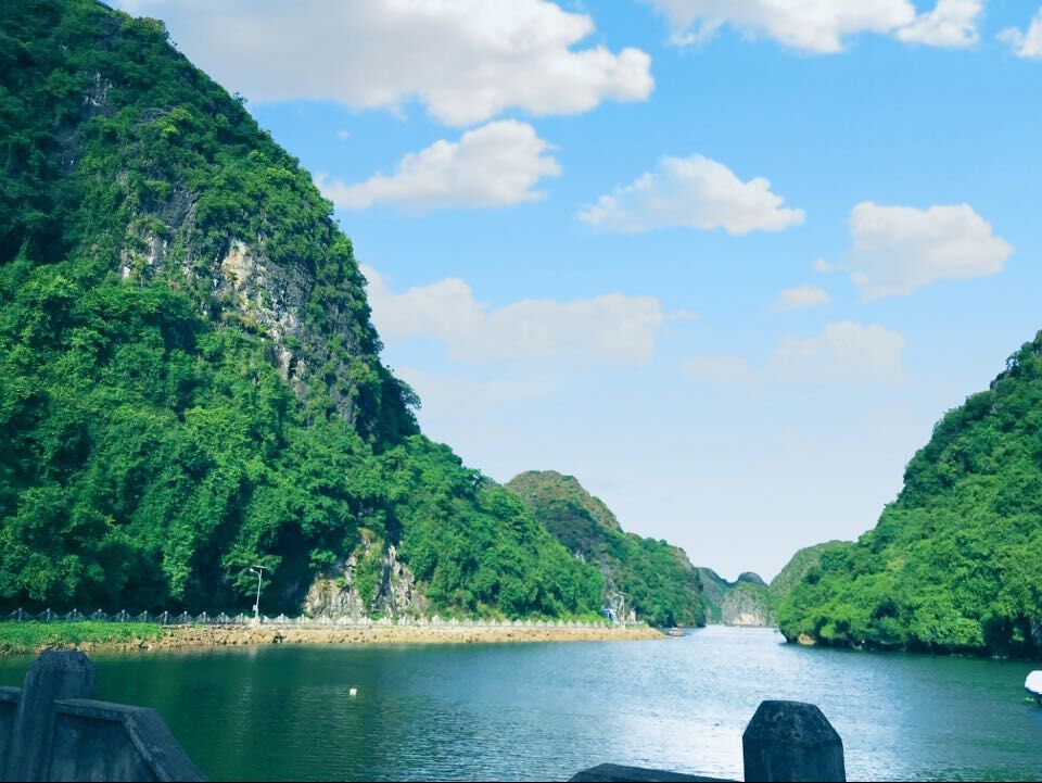Blog