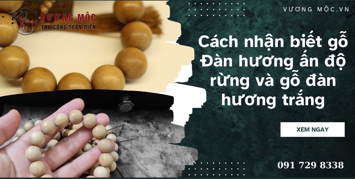 Cách nhận biết gỗ đàn hương ấn độ rừng và đàn hương trắng