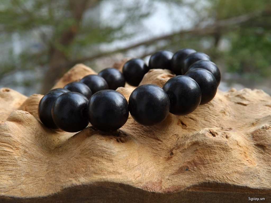 Mạng mộc hợp màu gì về ngũ hành cho người mạng mộc