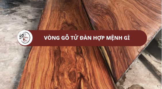 Vòng gỗ tử đàn hợp mệnh gì