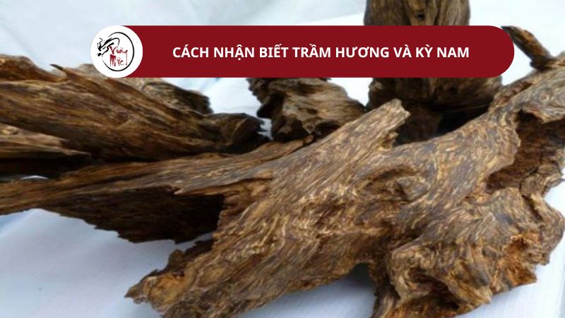 Cách nhận biết trầm hương và kỳ nam
