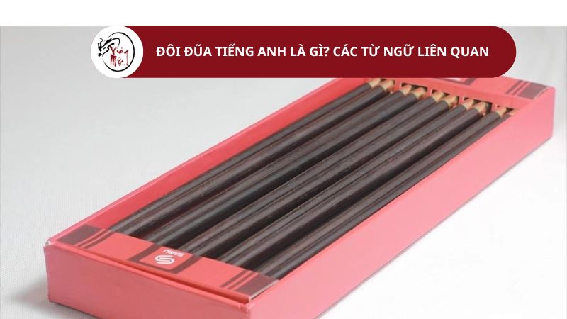 Đôi đũa tiếng anh là gì​? Các từ ngữ liên quan