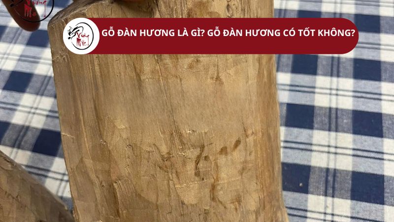 Gỗ đàn hương là gì? Gỗ Đàn Hương có tốt không?