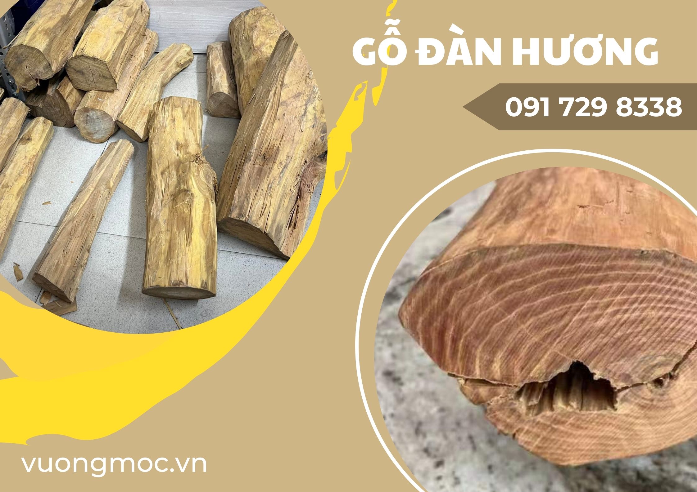 Tìm hiểu về lịch sử lâu đời và giá trị của gỗ đàn hương