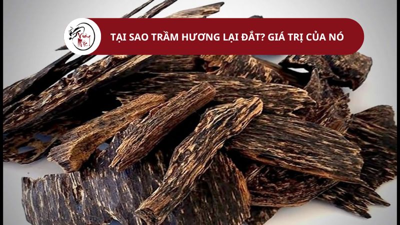 Tại sao trầm hương lại đắt? Giá trị của trầm hương