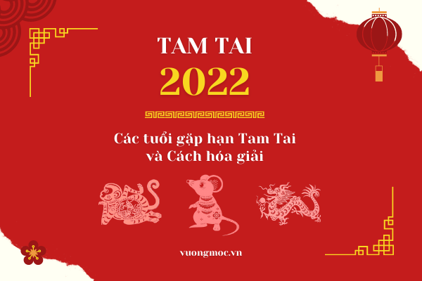 Thân - Tí - Thìn Năm 2022: Cách Hóa Giải Tam Tai Bằng Vật Phẩm Phong Thủy