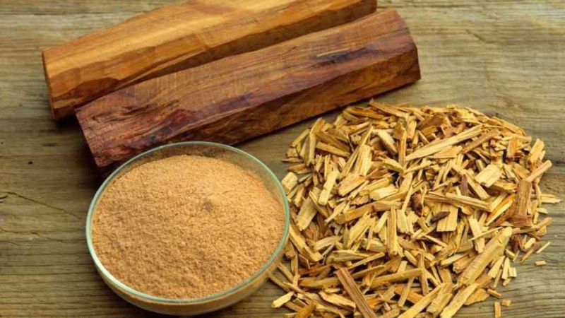 Gỗ đàn hương là một loại gỗ quý hiếm, đắt tiền và được ưa chuộng trong nhiều ngành công nghiệp.