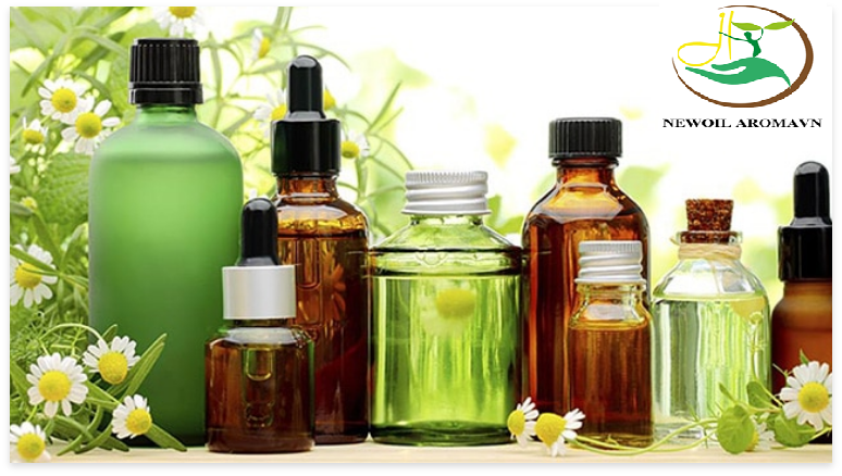 Địa chỉ bán buôn tinh dầu tại Hà Nội