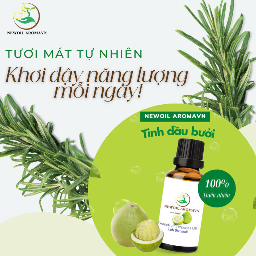 TƯƠI MÁT TỰ NHIÊN - KHƠI DẬY NĂNG LƯỢNG MỖI NGÀY! 🌬️