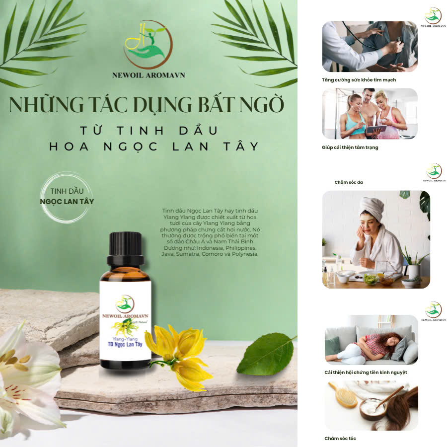 NHỮNG TÁC DỤNG BẤT NGỜ TỪ TINH DẦU HOA NGỌC LAN TÂY